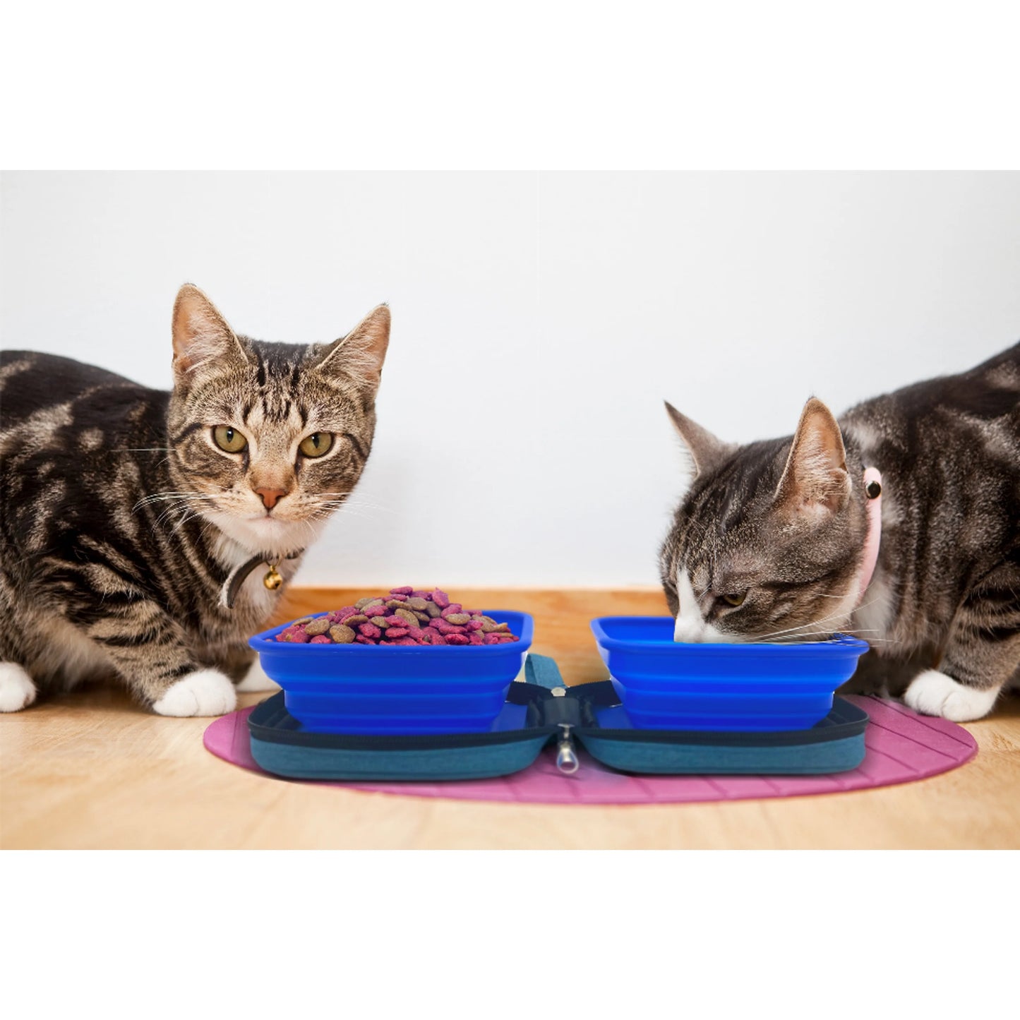 TD Eco-Friendly Collapsible Dog Bowl Travel Silicone Water a