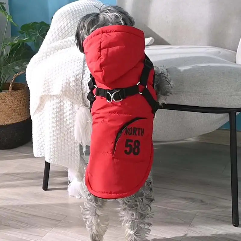 Winter Dog Jacket