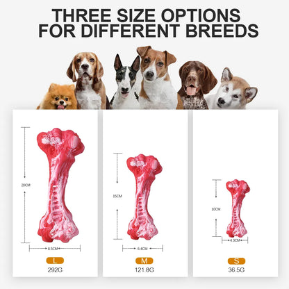 Durable Dog Chew Toy