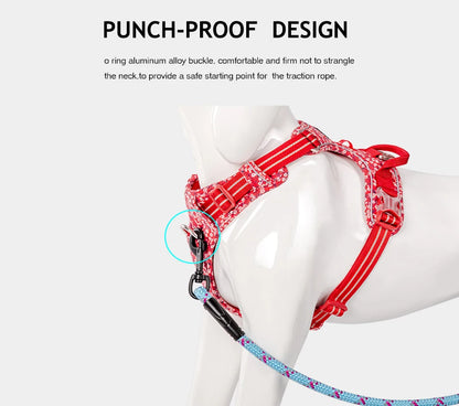 Truelove Pet Dog Harness For