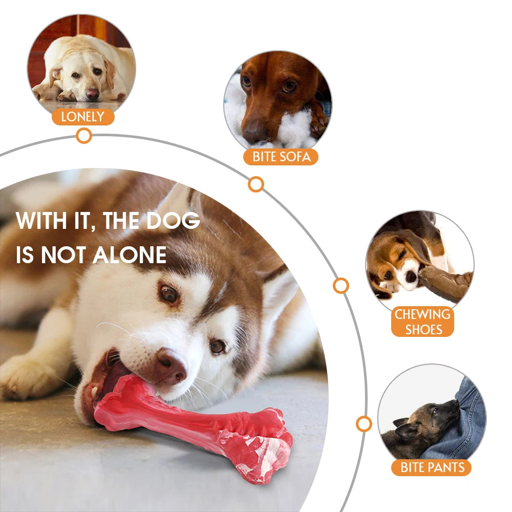 Durable Dog Chew Toy