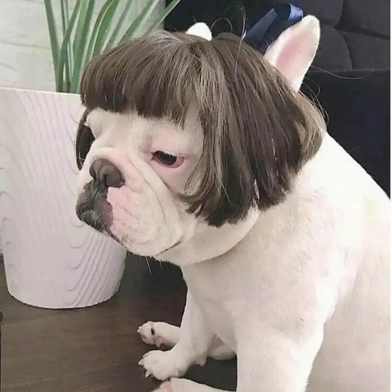Funny Karen Wig for Dogs – Hilarious Halloween Costume