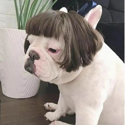 Funny Karen Wig for Dogs – Hilarious Halloween Costume