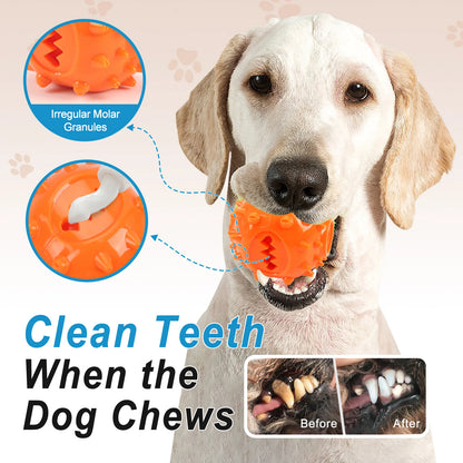 Dog Interactive Chew Treat Dispensing Ball - Self-Play, Bore