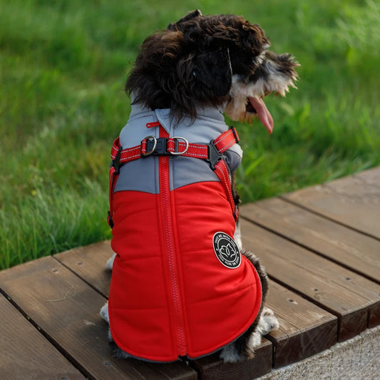 Winter Dog Jacket