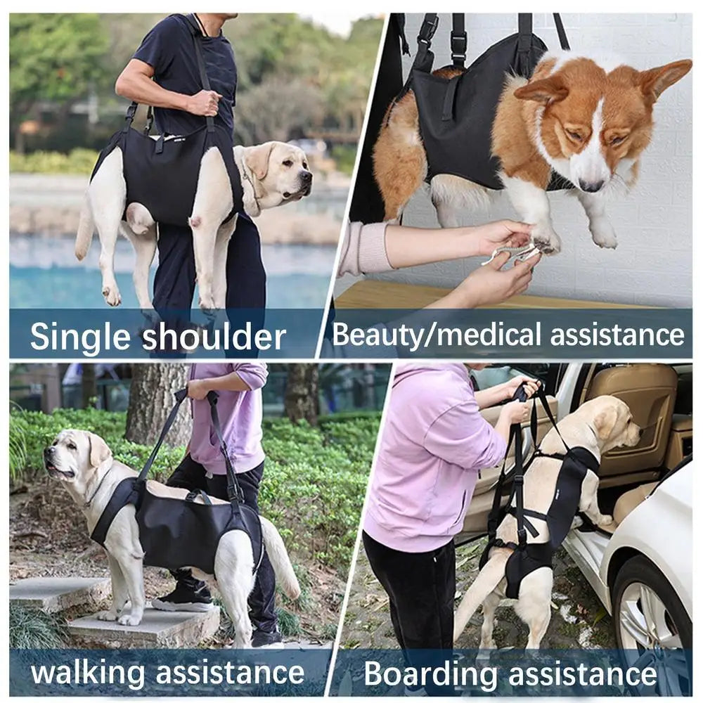 Pet Rehabilitation Sling Pet Rehabilitation Lift Vest Thicke