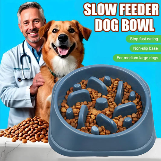 Slow Eating Feeders For Dogs
