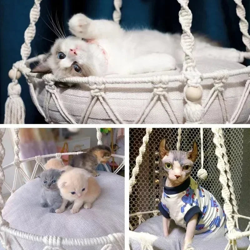 Pet Hammock Cat Swing Hand