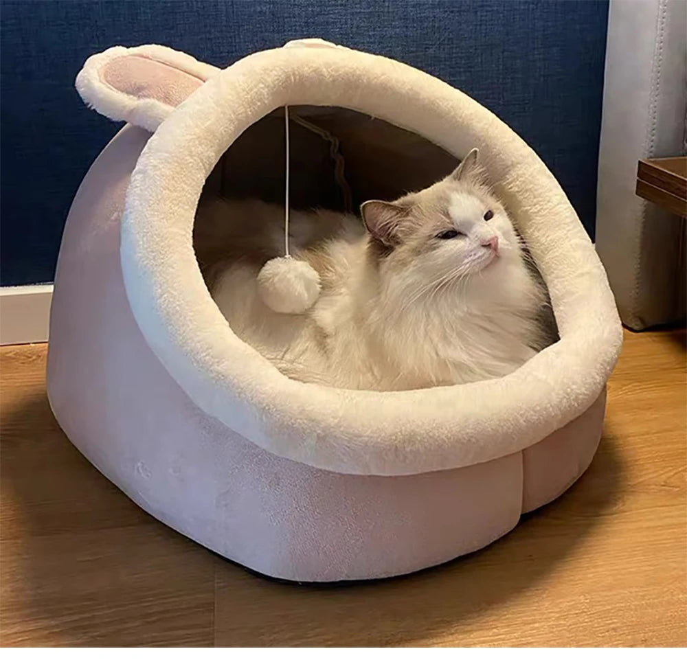 Deep Sleep Cat Bed Cartoon
