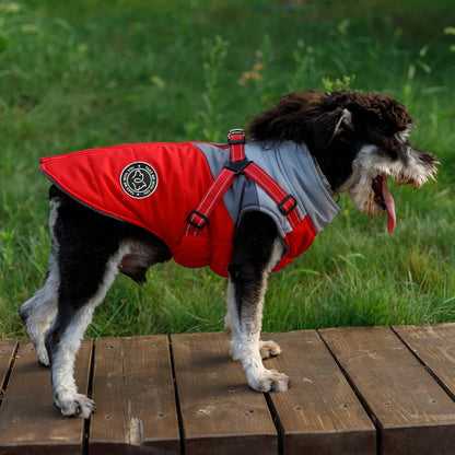Winter Dog Jacket