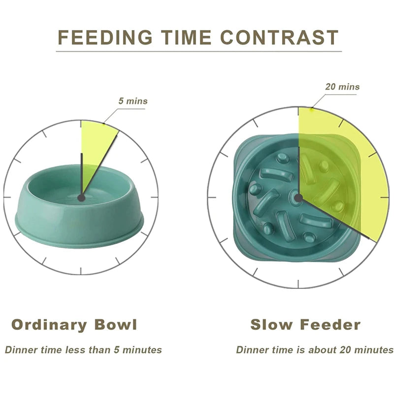 Slow Eating Feeders For Dogs