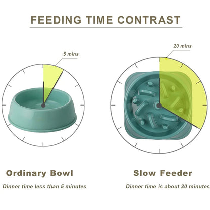 Slow Eating Feeders For Dogs