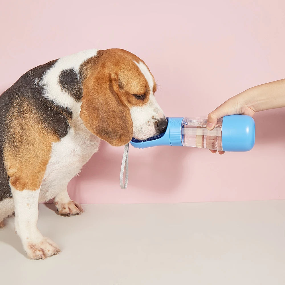 2‑in‑1 Portable Dog Water Bottle