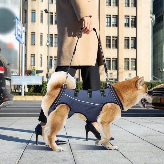 Adjustable Dog Lift Harness