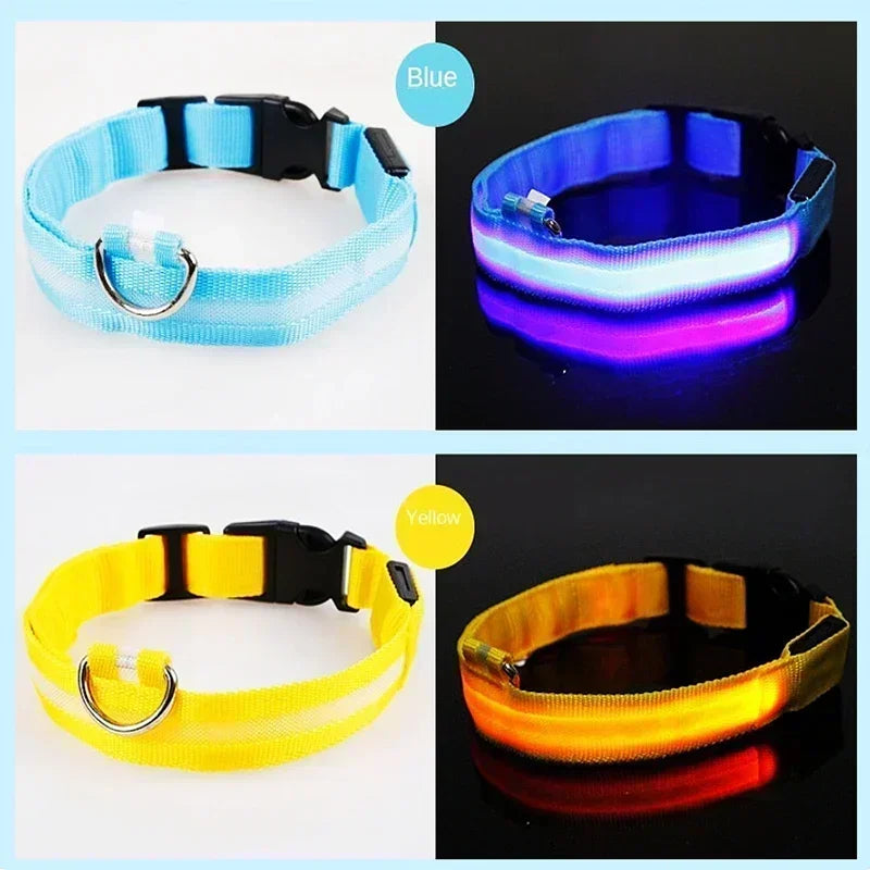 USB-Rechargeable LED Safety Collar