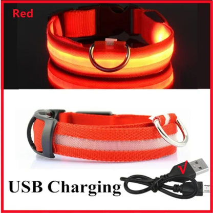 USB-Rechargeable LED Safety Collar