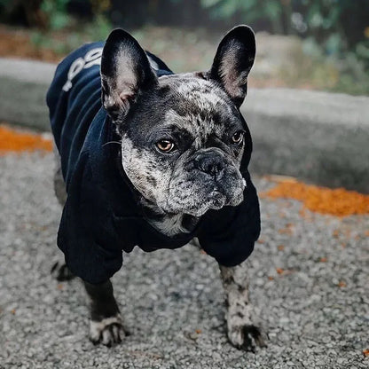 Trendy Hoodie for dogs