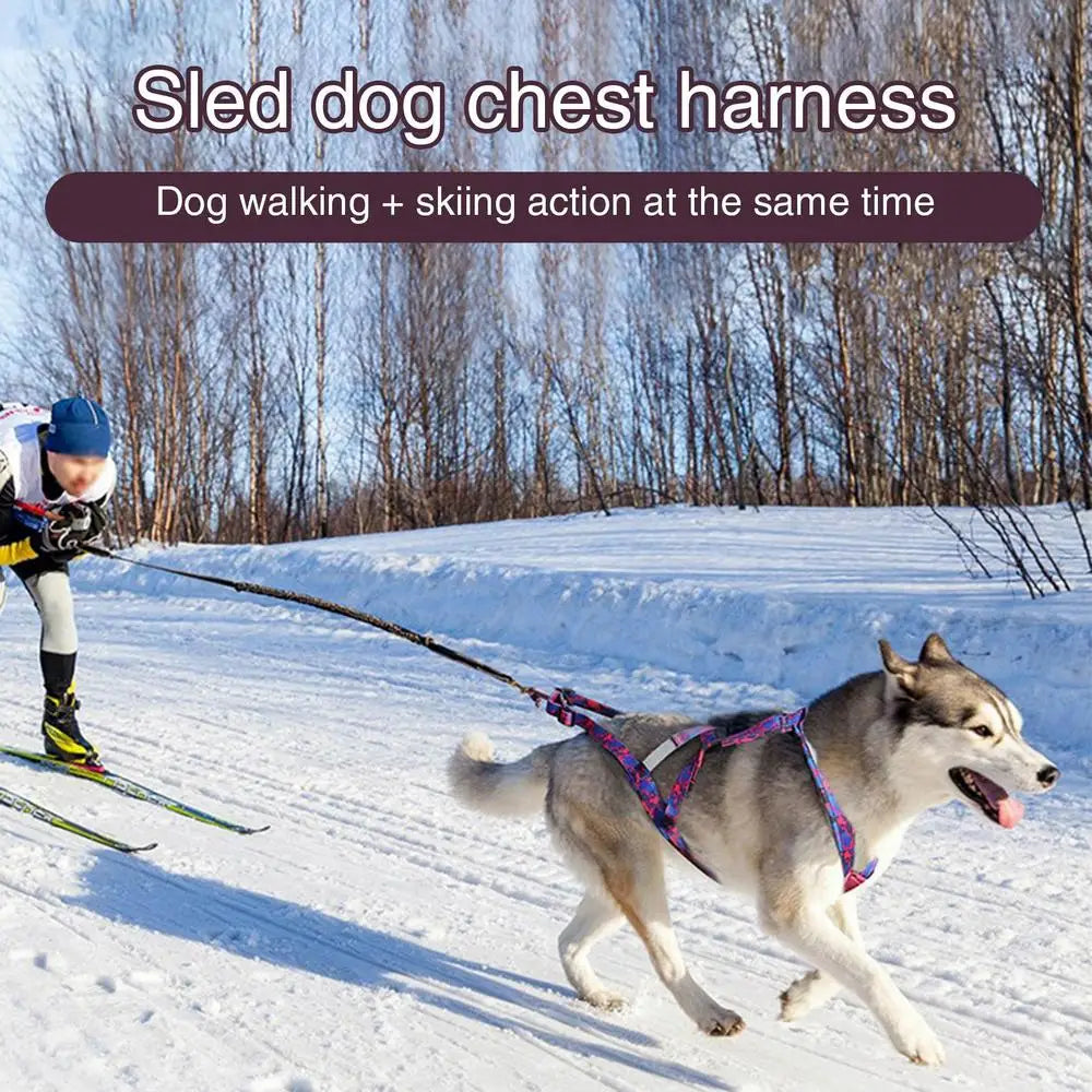 Pulling Harness For Dogs Puppy Harness Adjustable Reflective