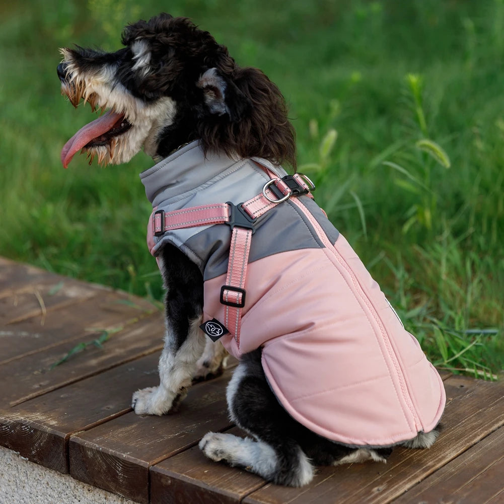 Winter Dog Jacket
