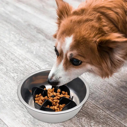 Pet Bowl Slow Feeder |