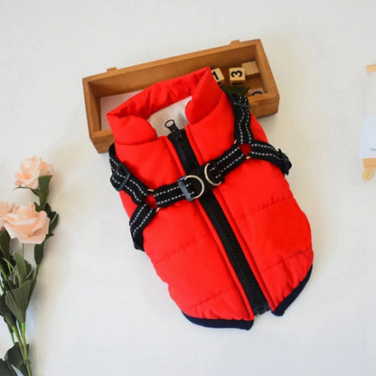 Winter Dog Jacket