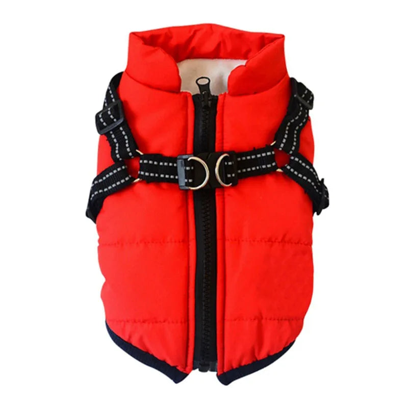 Winter Dog Jacket