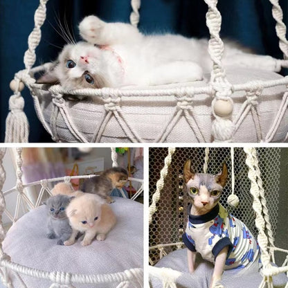 Pet Hammock Cat Swing Hand