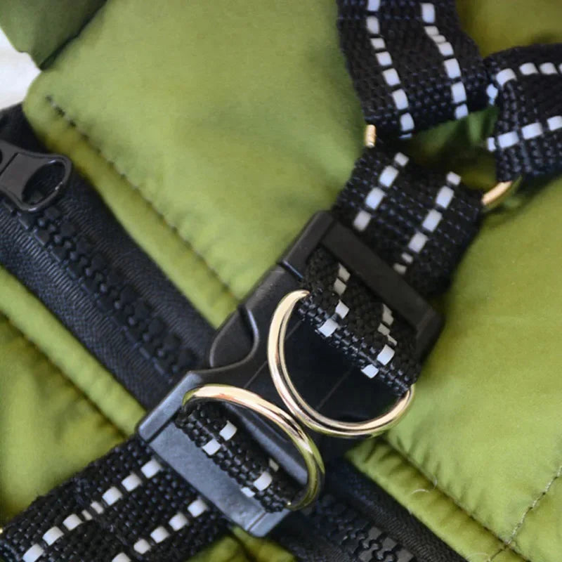 Winter Dog Jacket