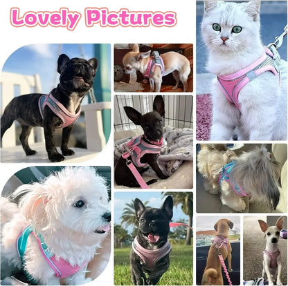 Escape-Proof Dog Harness and Leash Set for Small Dogs
