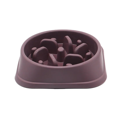 Slow Eating Feeders For Dogs