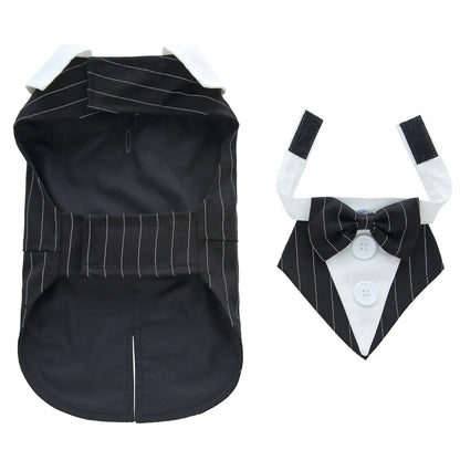 Dog Tuxedo Halloween Costume