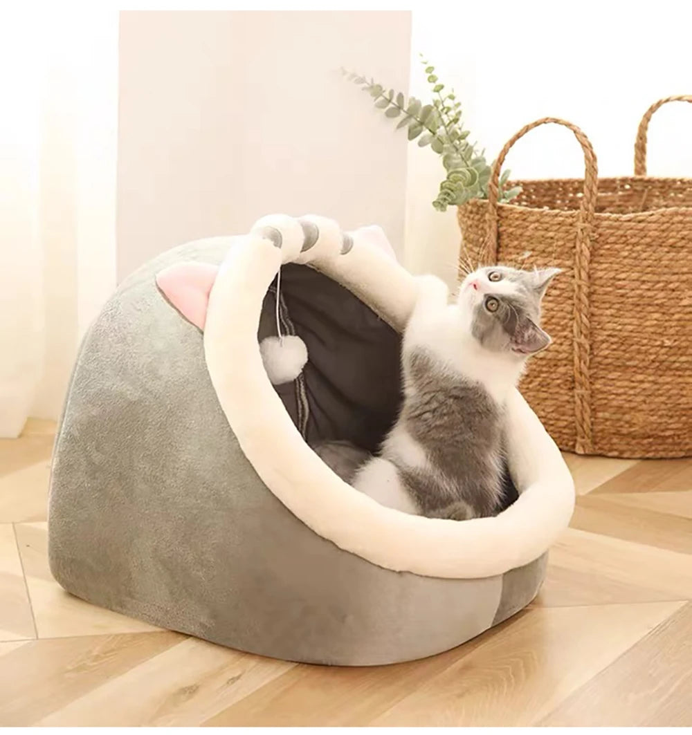 Deep Sleep Cat Bed Cartoon