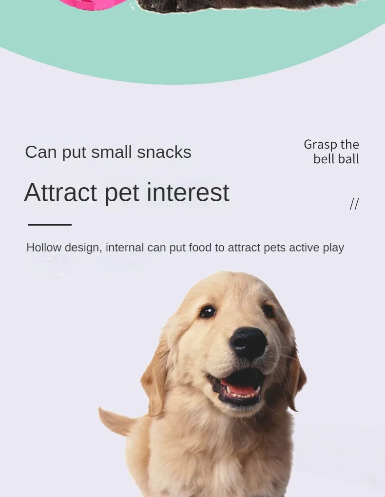 2‑Pack Hollow Ball Puppy Toys