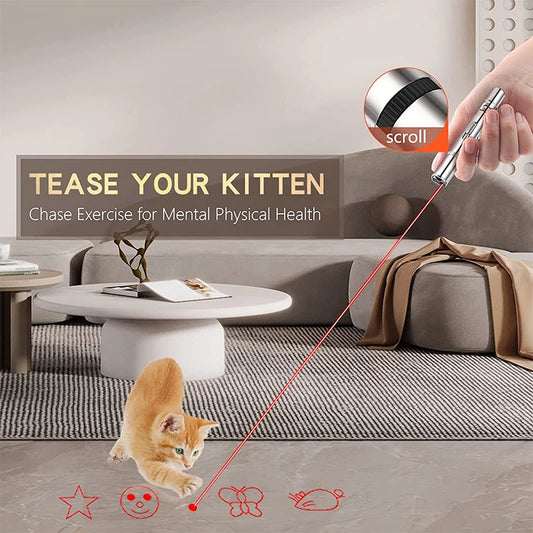 3 In 1 Cat Playing
