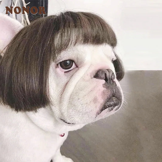 Funny Karen Wig for Dogs – Hilarious Halloween Costume