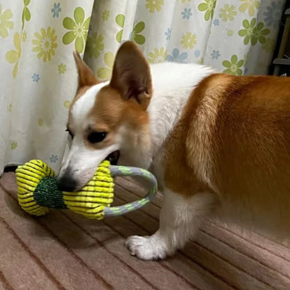 Dog Chew Toy with Handle