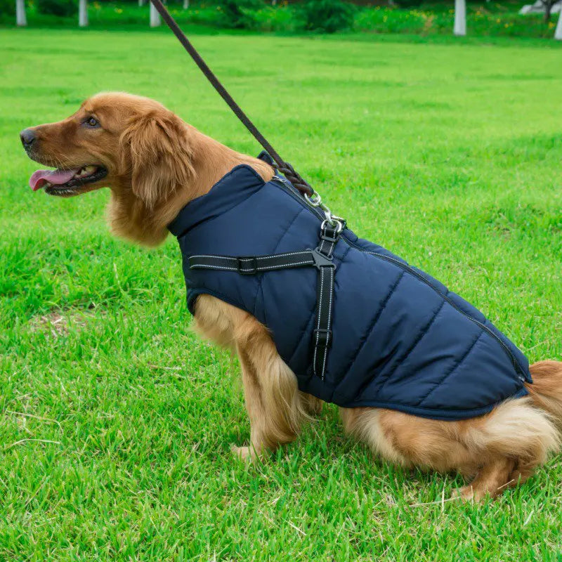 Winter Dog Jacket