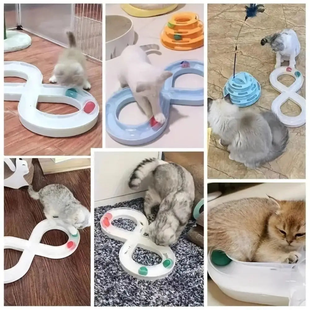 Cat Tunnel Funny Cat Fun