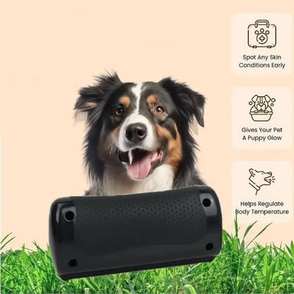 Pet Grooming Brush Cat Comb