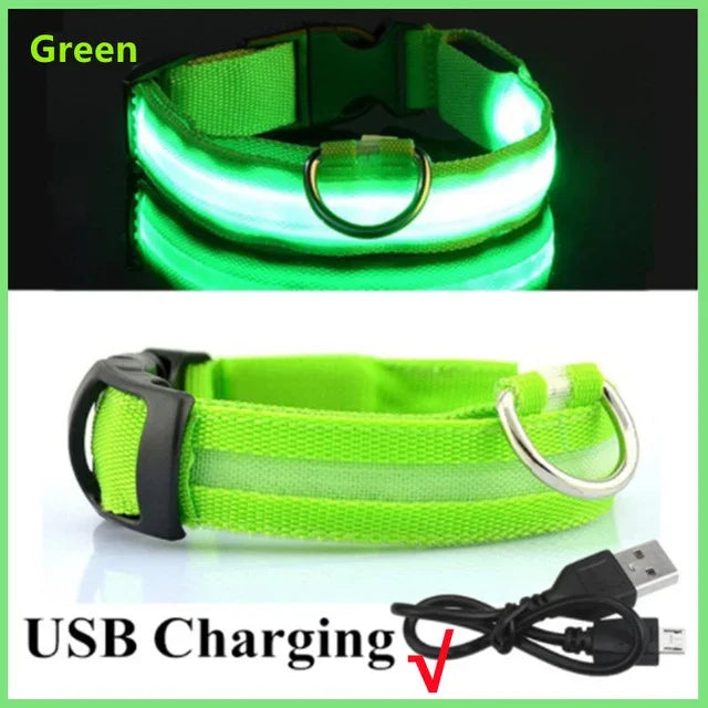 USB-Rechargeable LED Safety Collar