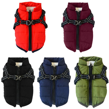 Winter Dog Jacket