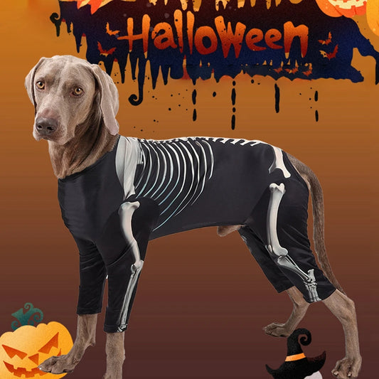 Halloween Skeleton Dog Costumes for larger dogs