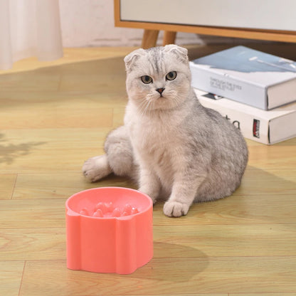 Pet Bowl Cats And Dogs