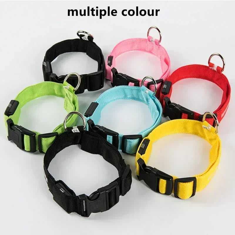 USB-Rechargeable LED Safety Collar