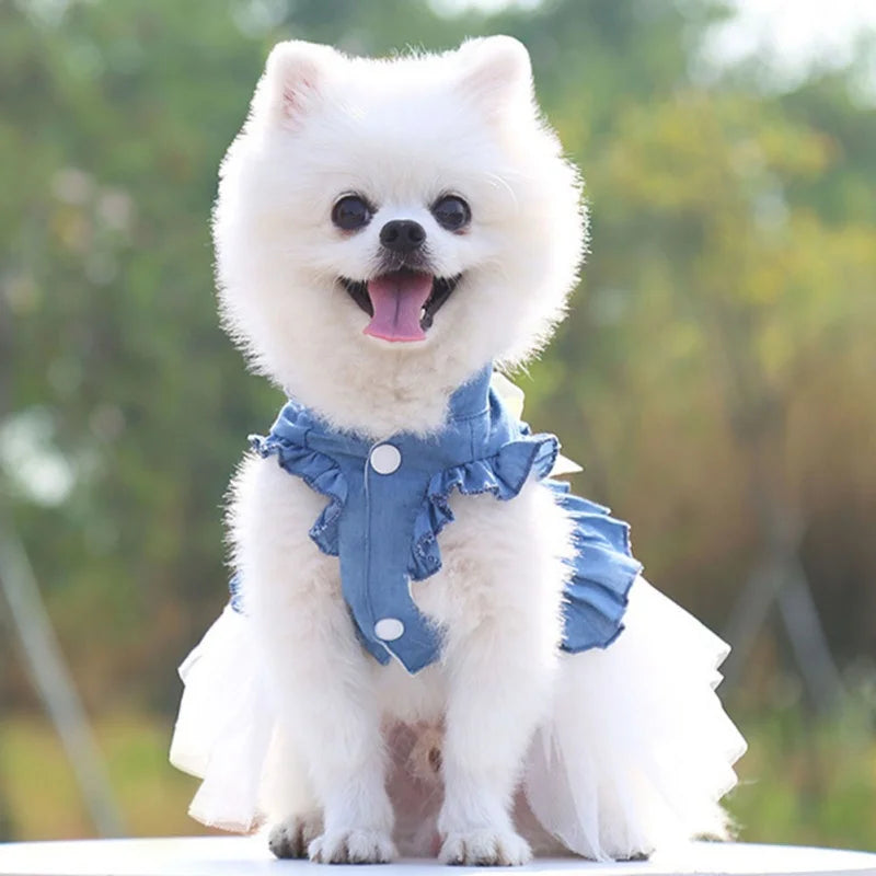 Spring Summer Dog Princess Dress