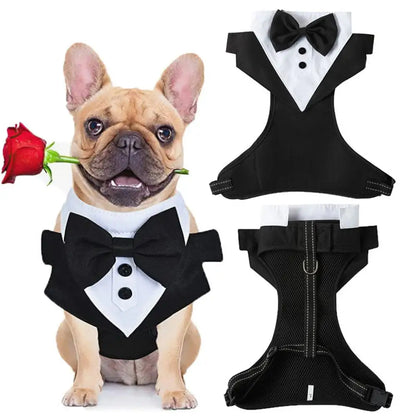 Dogs Tuxedo Wedding Party Suit
