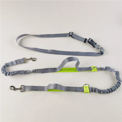 Hands-Free Adjustable Leash with Hip Bungee