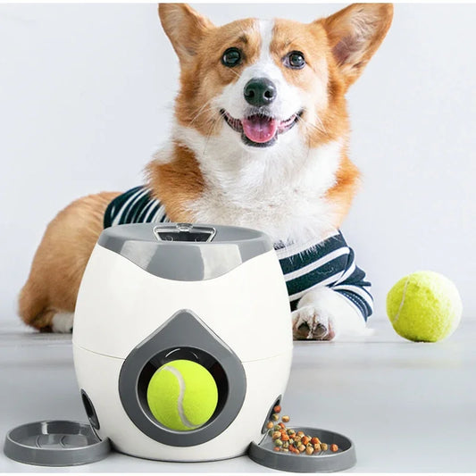 Bone Chew Toy & Treat Dispenser