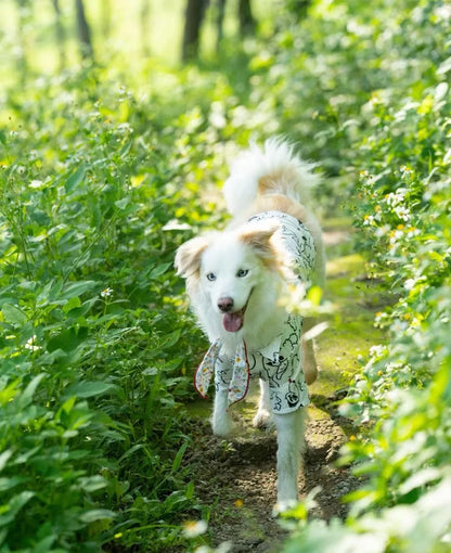 Summer Breathable Pet Shirt Dog