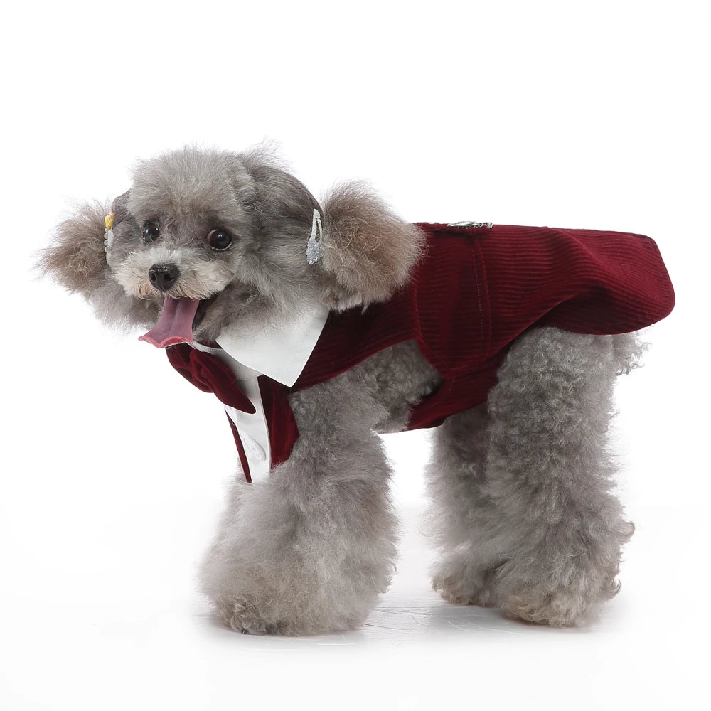 Dog Tuxedo Halloween Costume
